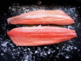 /album/fotogaleria-isiflor-productos-del-mar/salmon-salar-jpg1/